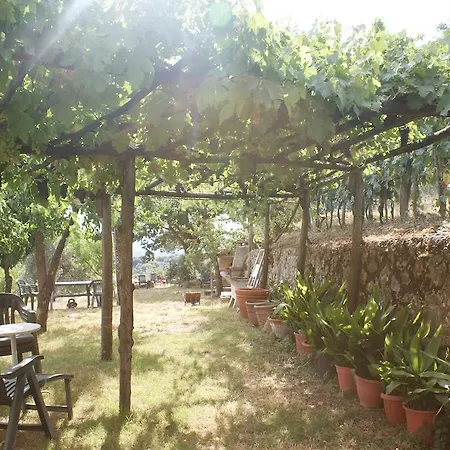Porta Vecchia Holiday home Montalcino