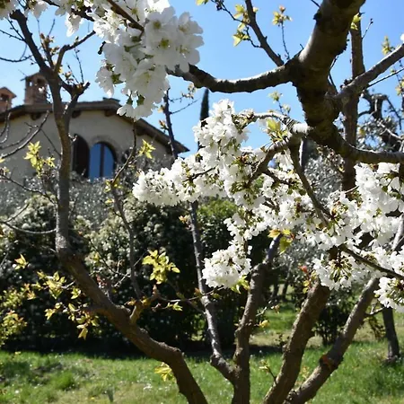 Holiday home Porta Vecchia Montalcino