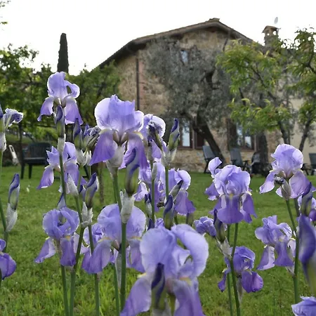 Porta Vecchia *